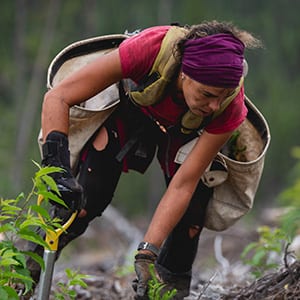Woman working in forest