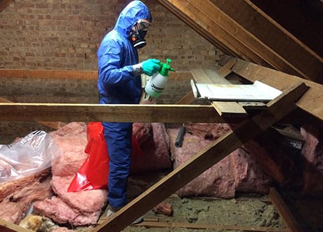 A member of The Loft Boys preparing for the removal of an asbestos sheet