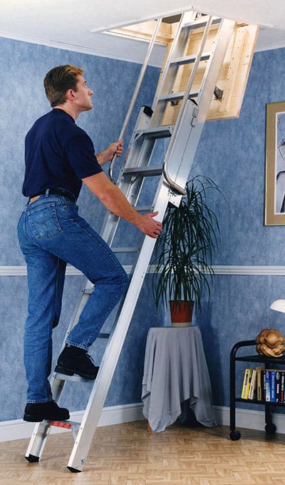 deluxe 2 section ladder