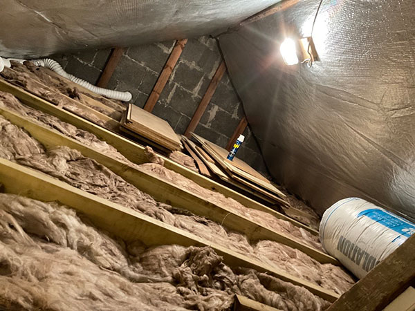 exposed insulation with rafter ceiling