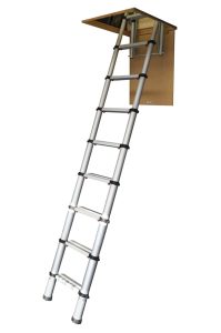 Telescopic ladder